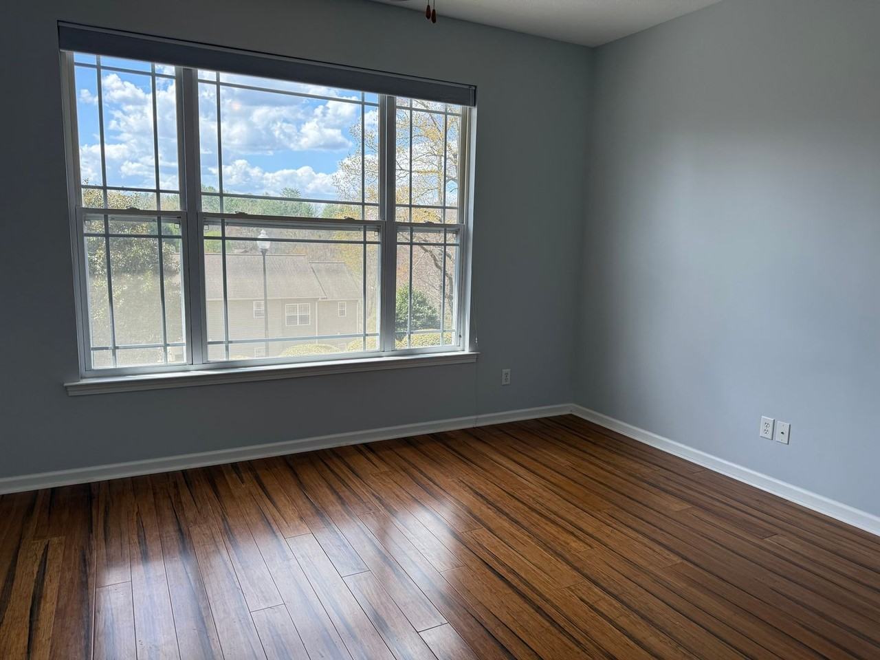 10 Northbrook Place - Photo 6 of 12