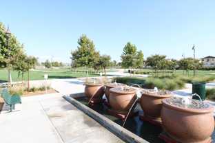 30454 Downtown Way #NA - Photo 1 of 1