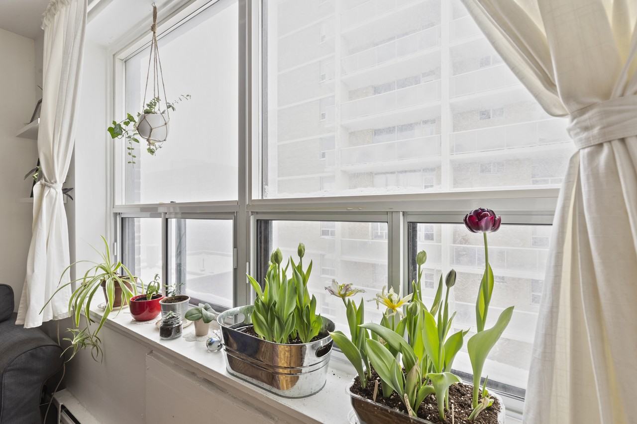 149 St. George - Photo 2 of 22