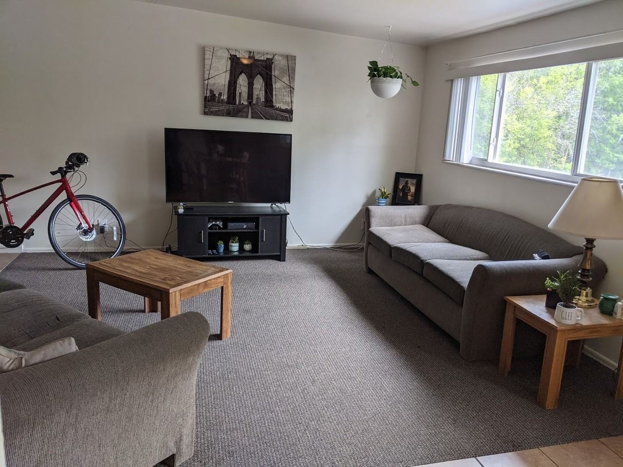 Student Housing - Photo 3 of 18