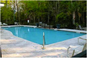 2521 Egret Crest Ln - Photo 4 of 20