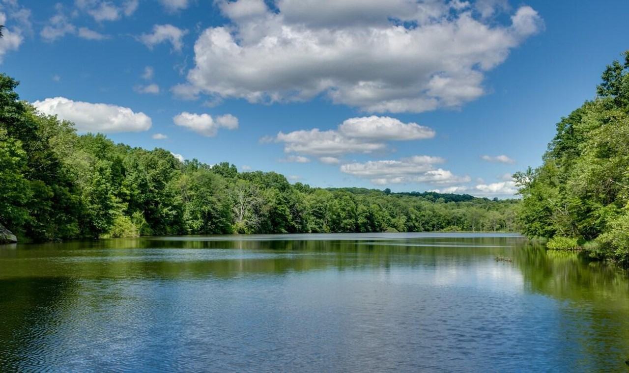 73 Cottage St #1056796P - Photo 7 of 8