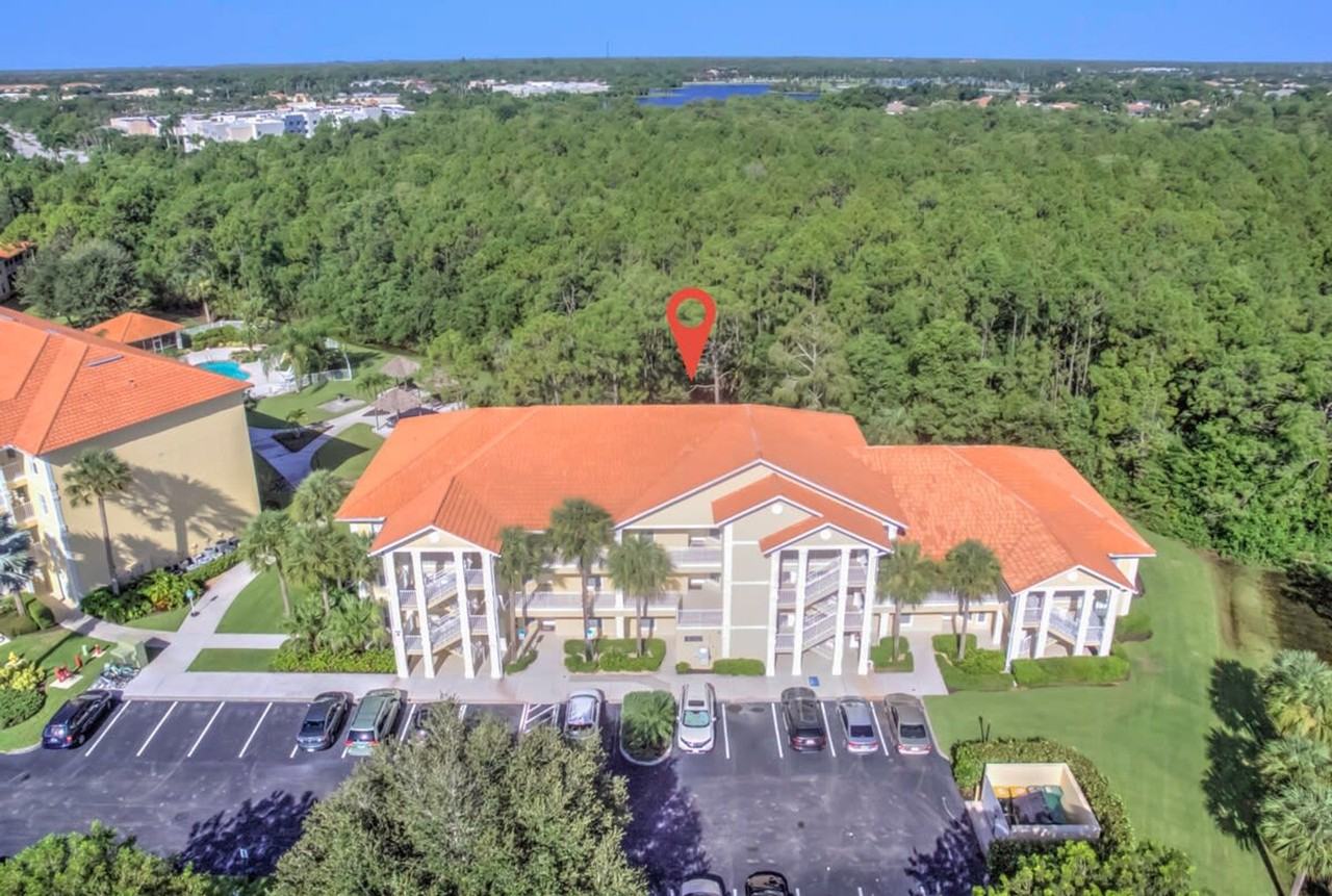 9187 Celeste Dr #1073494P - Photo 6 of 31