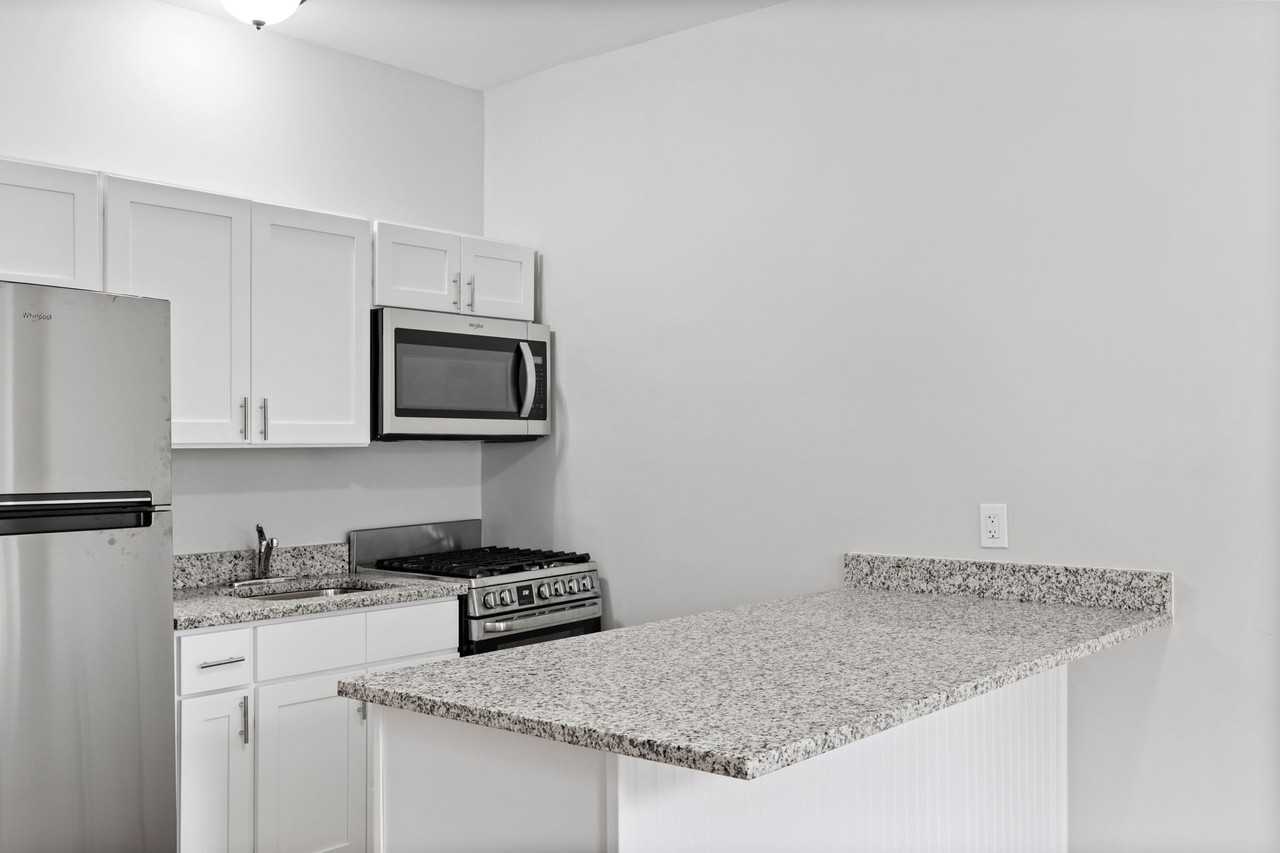 Chestnut Street Apartment - Photo 4 of 16