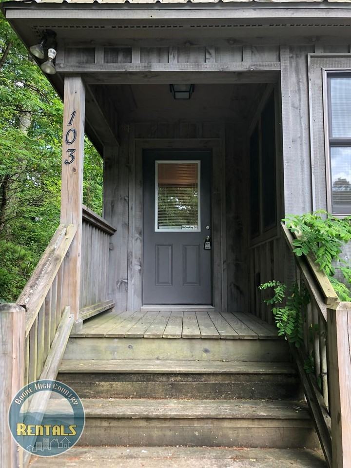 103 Goshen Creek Rd - Photo 3 of 18