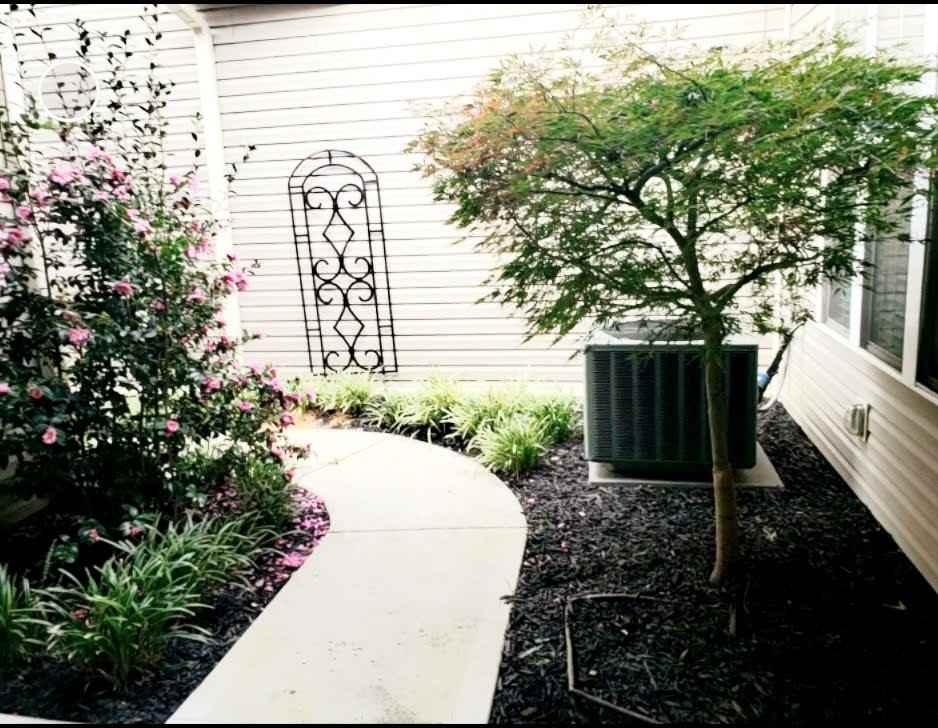 1508 Georgia Ave #5 - Photo 3 of 18
