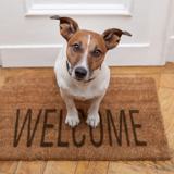 11424 Elokomin Ave - Photo 1 of 1