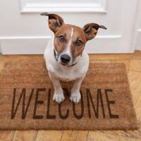 featured image of 11424 Elokomin Ave