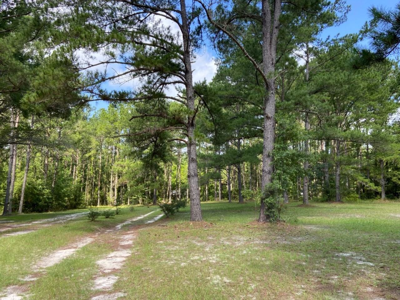 8664 97th Rd - Photo 3 of 25