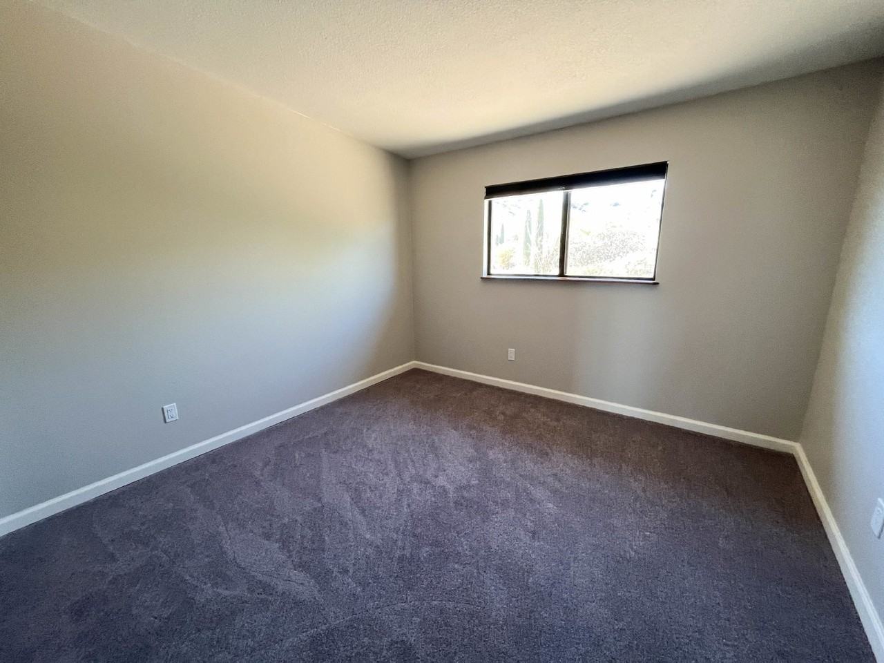 1711 N Placita Tuberia - Photo 5 of 40