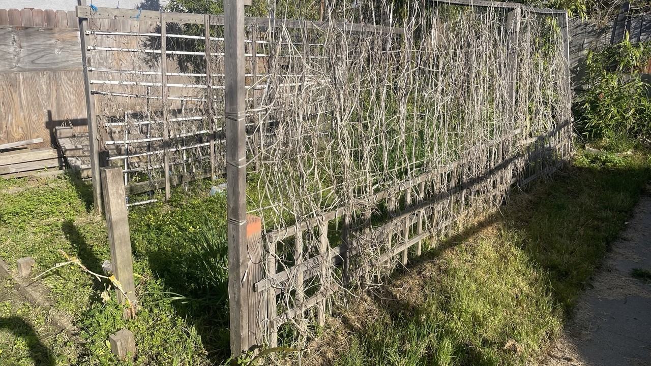 3327 22nd Ave - Photo 3 of 11