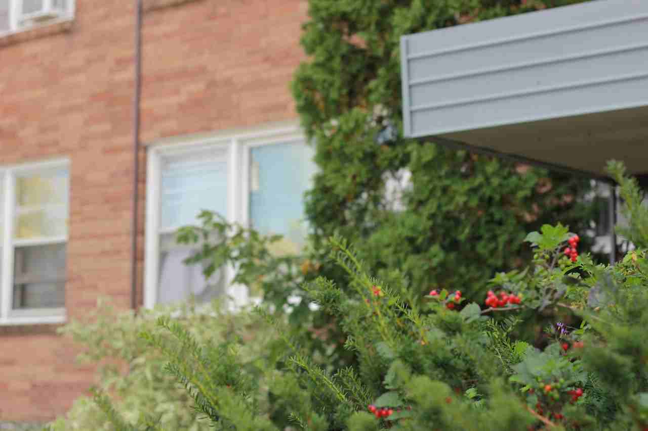 Parklawn - Photo 3 of 49