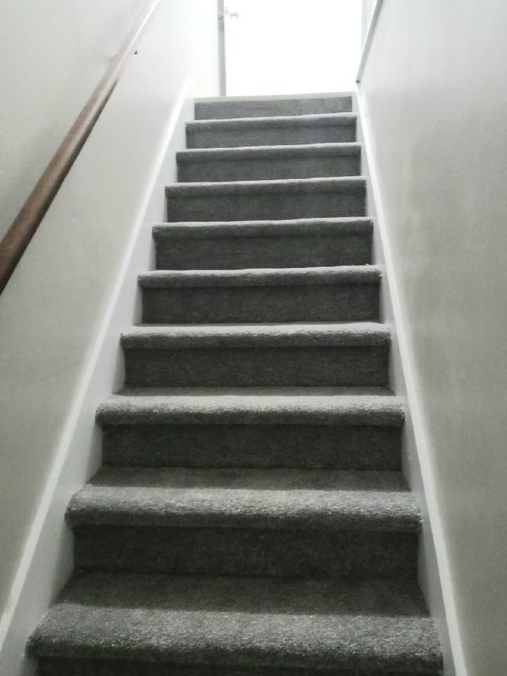 Cara Ct #2931 - Photo 5 of 19