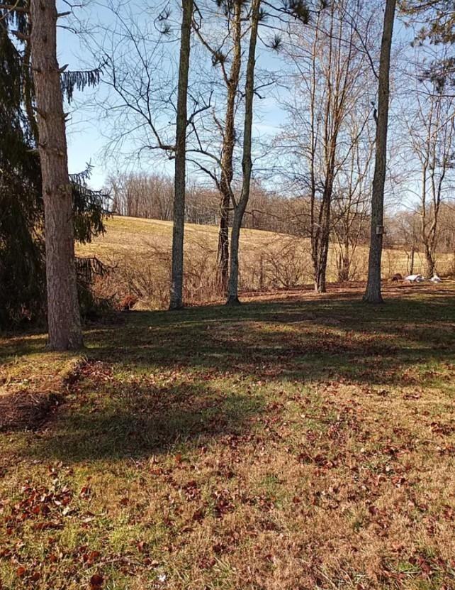 Cara Ct #2931 - Photo 6 of 19