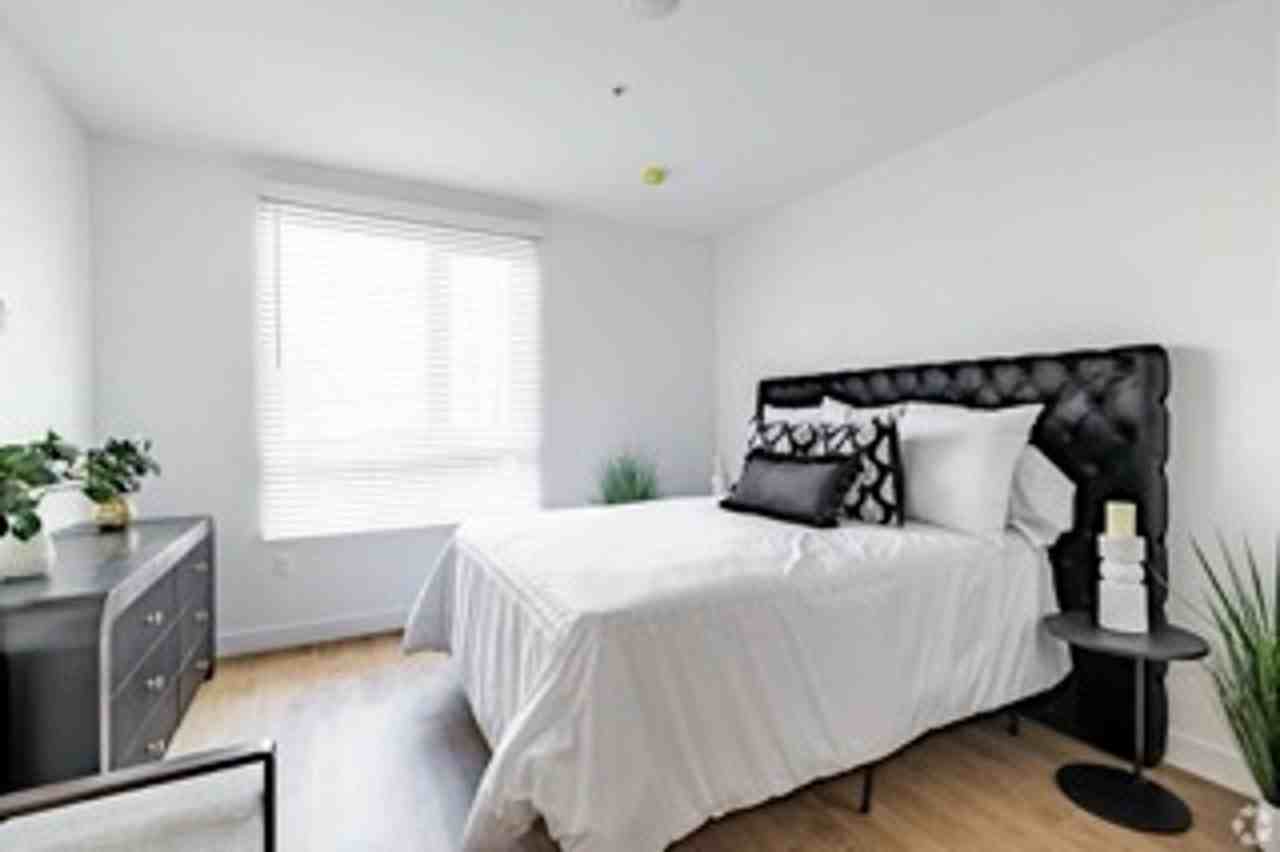 The Brightly - Photo 2 of 50