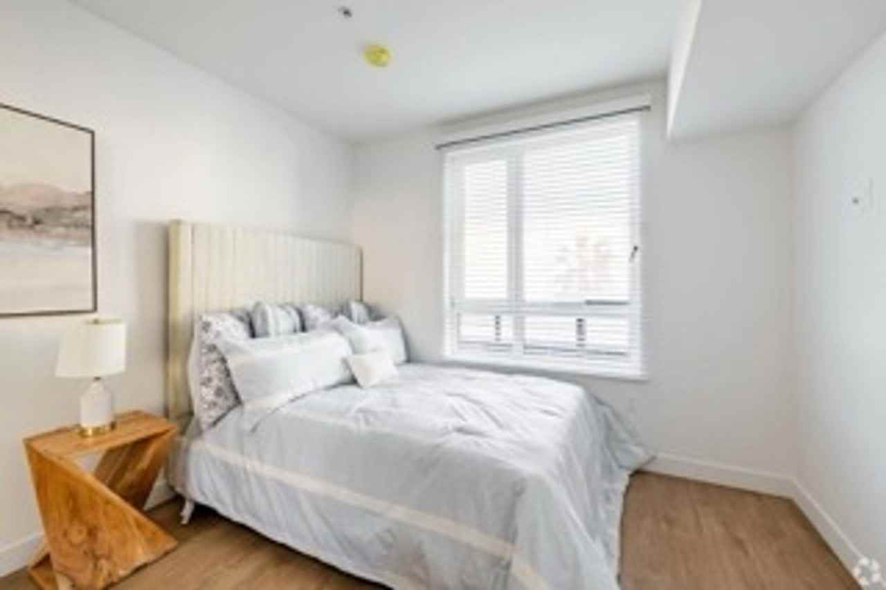 The Brightly - Photo 4 of 50