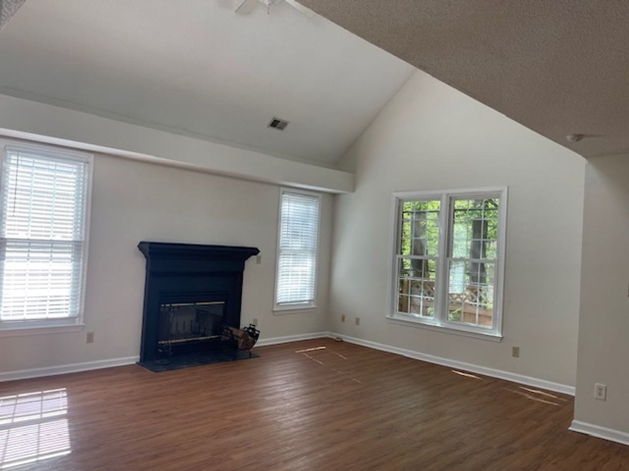 879 Rivanna River Reach - Photo 3 of 19