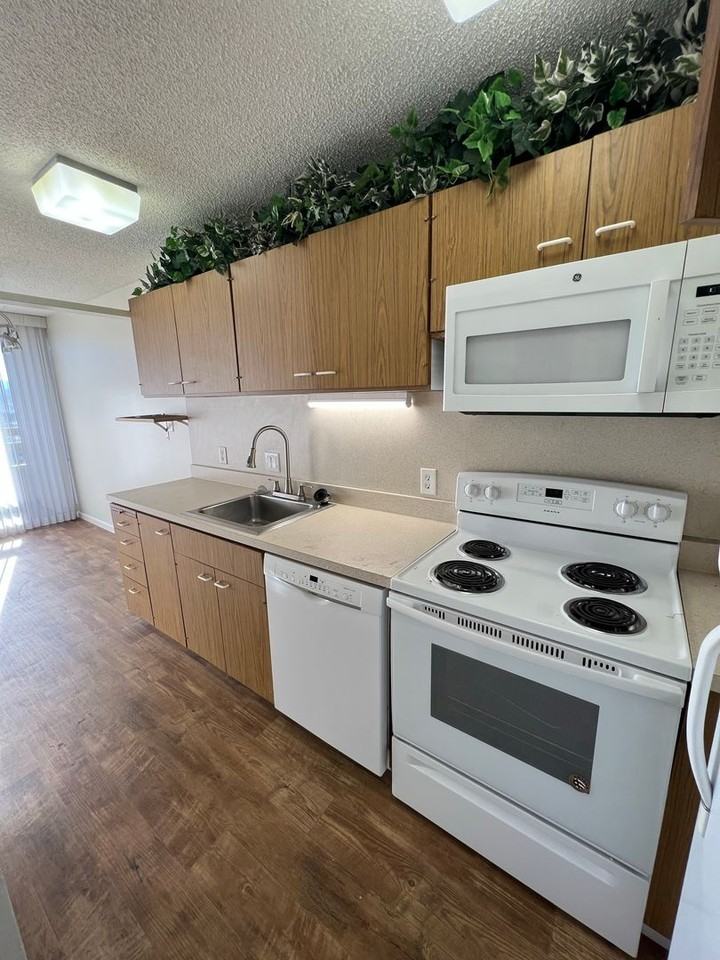 100 N Arlington Ave #11H - Photo 6 of 11