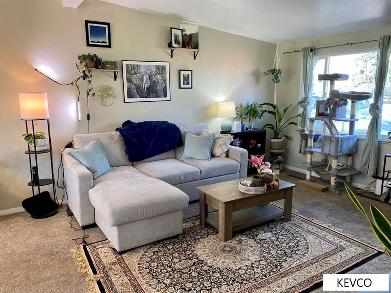 711 W Prospect Rd - Photo 2 of 21