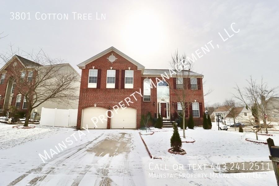 3801 Cotton Tree Ln - Photo 3 of 50