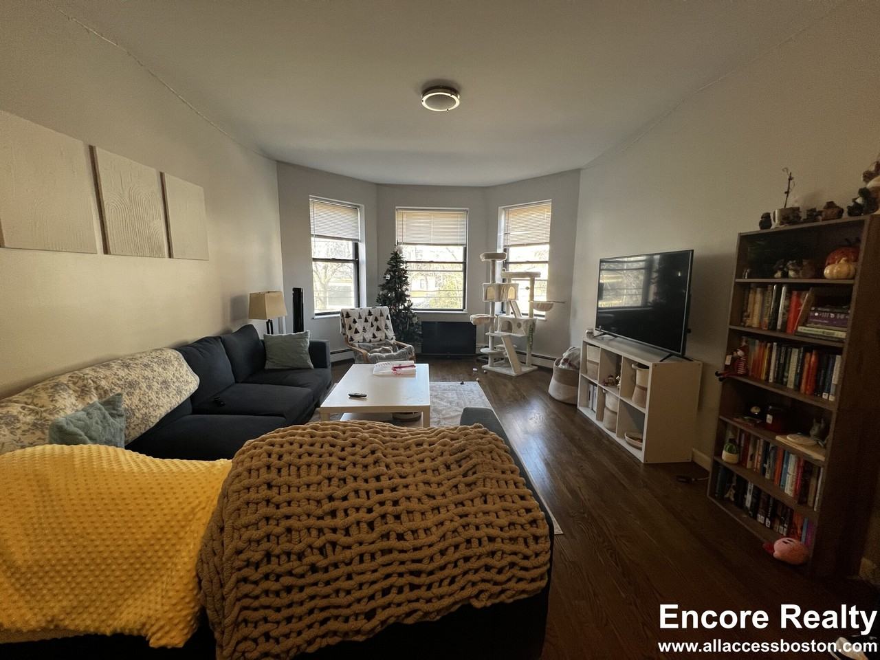 15 Stearns Rd #3