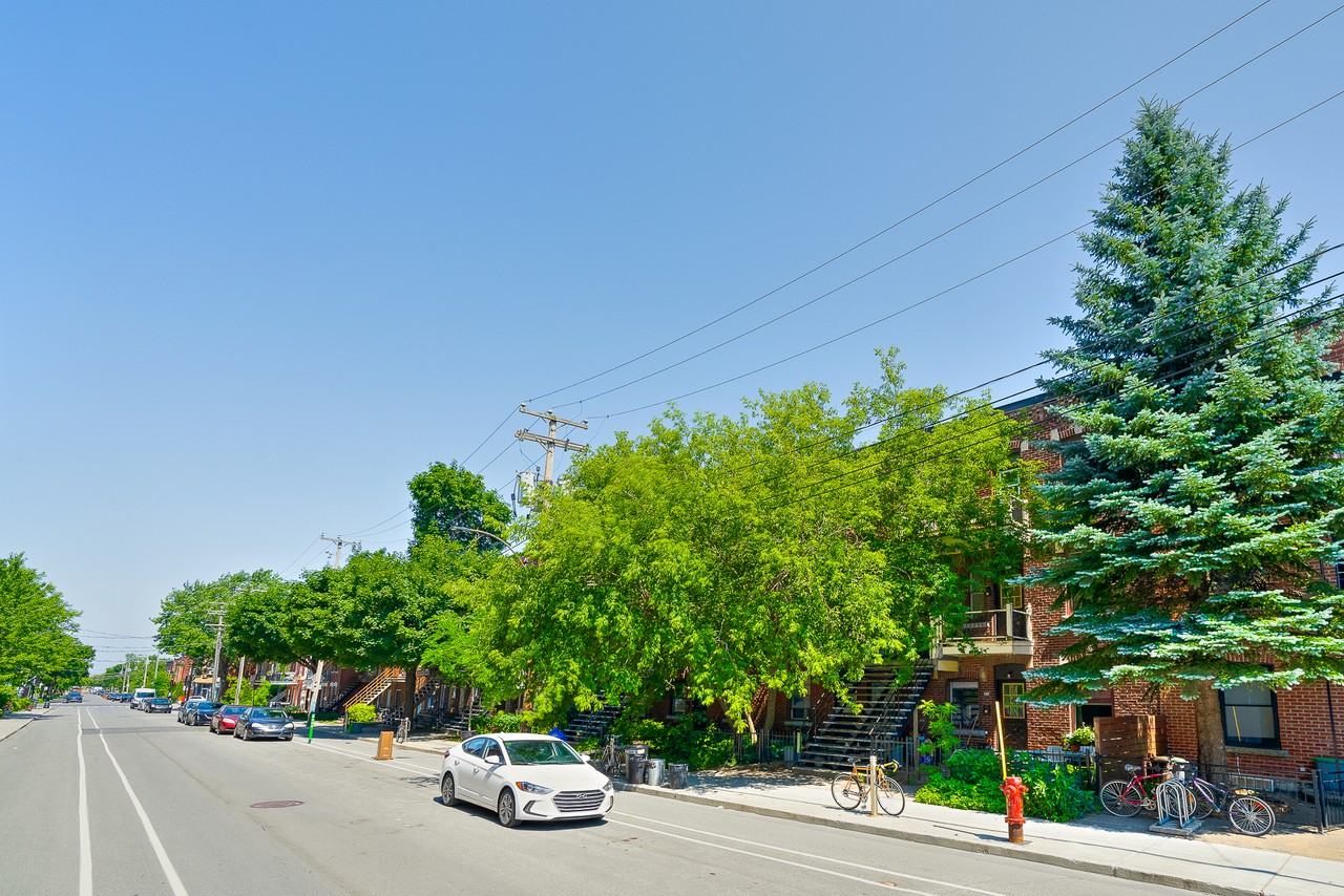 6371 Rue Saint-Dominique - Photo 6 of 19