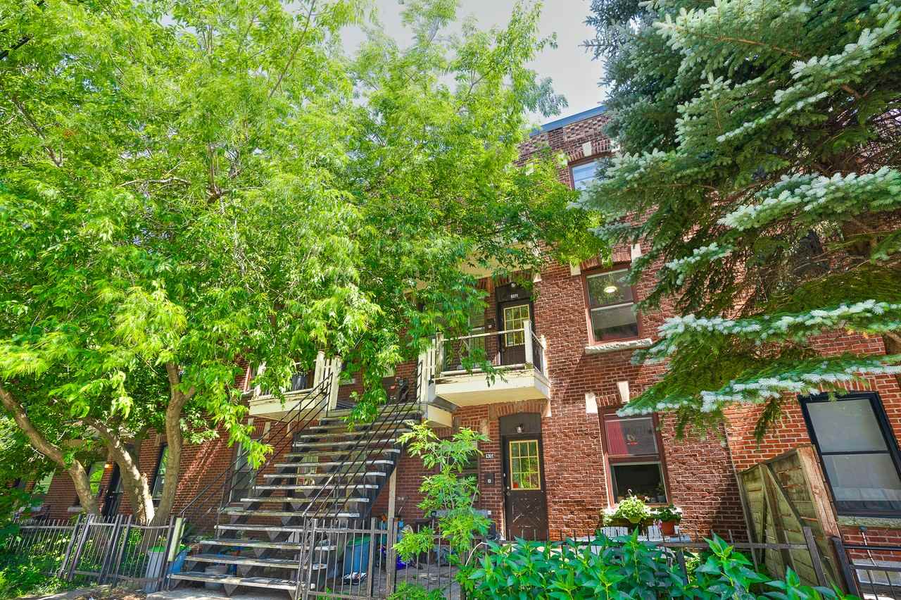 6371 Rue Saint-Dominique - Photo 3 of 19