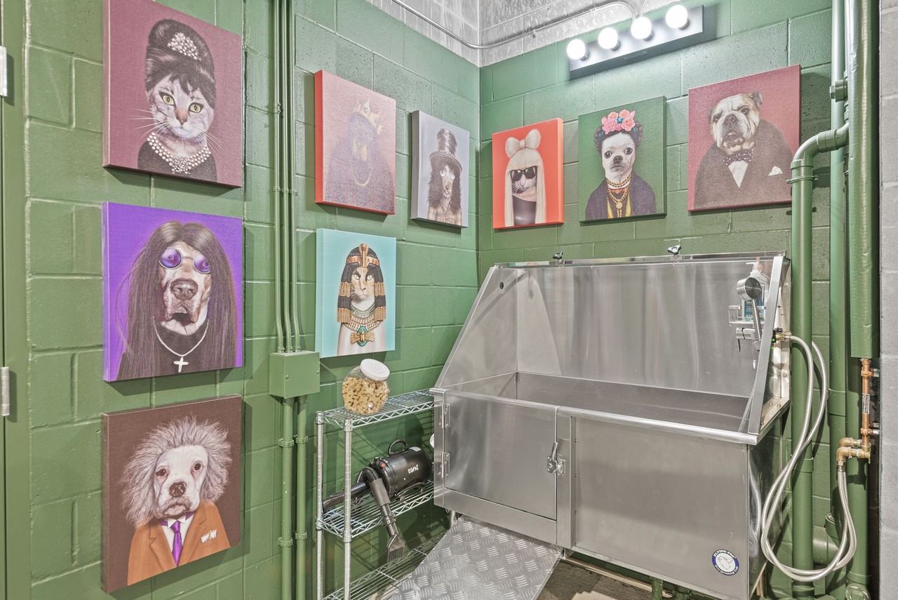 1000 Main Street Apartments - Photo 4 of 42