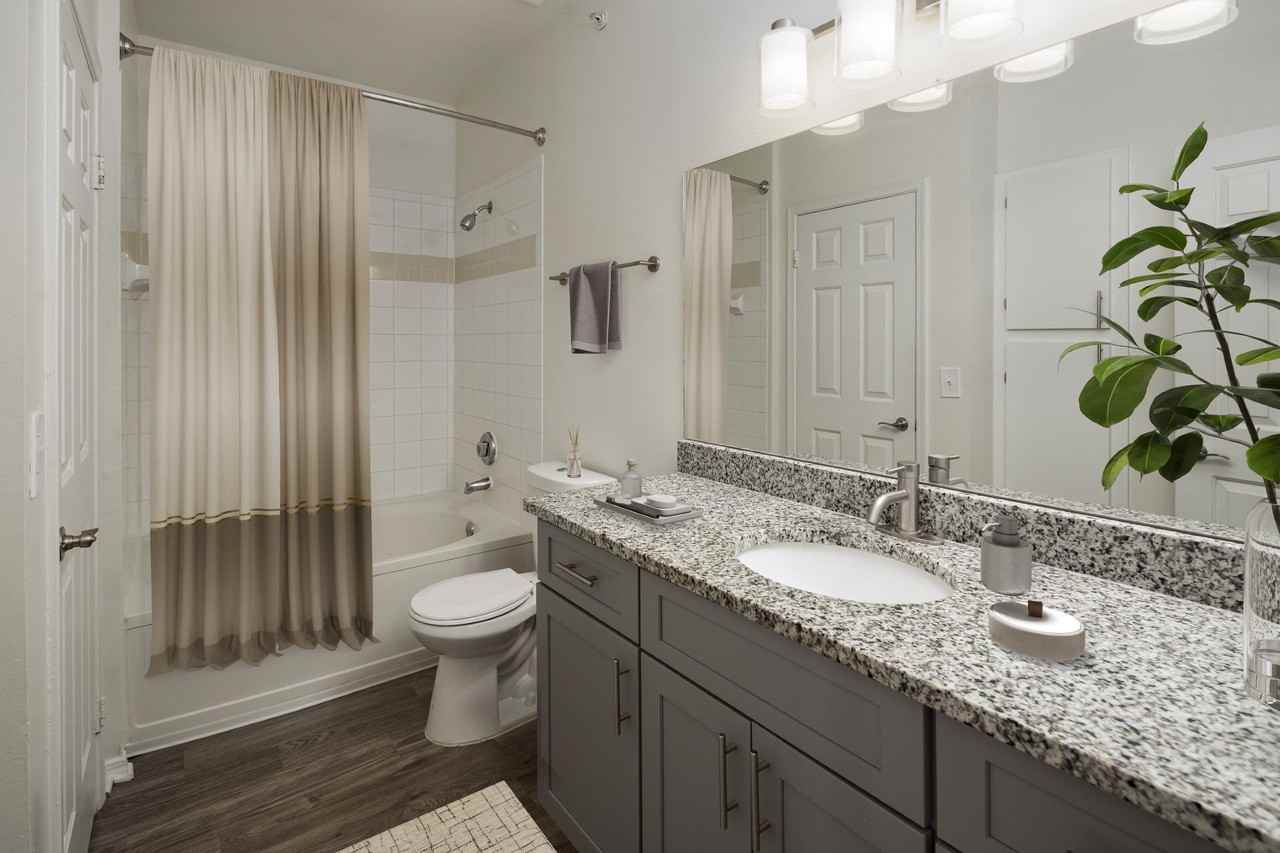 Wesley St. James Apartments at Sandy Springs - Photo 4 of 51