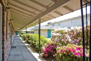 featured image of 717 Ne 82nd Ave