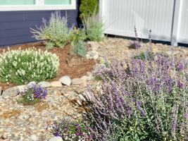 featured image of 1539 15th Ave Se