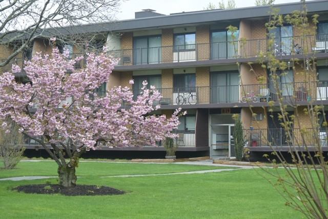 Country Club Apartments - Photo 3 of 38