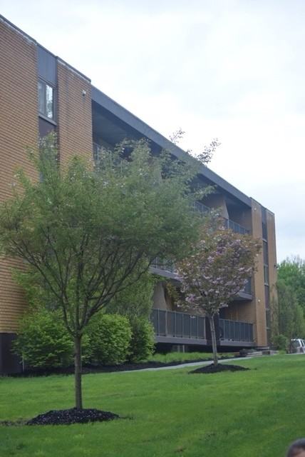 Country Club Apartments - Photo 4 of 38