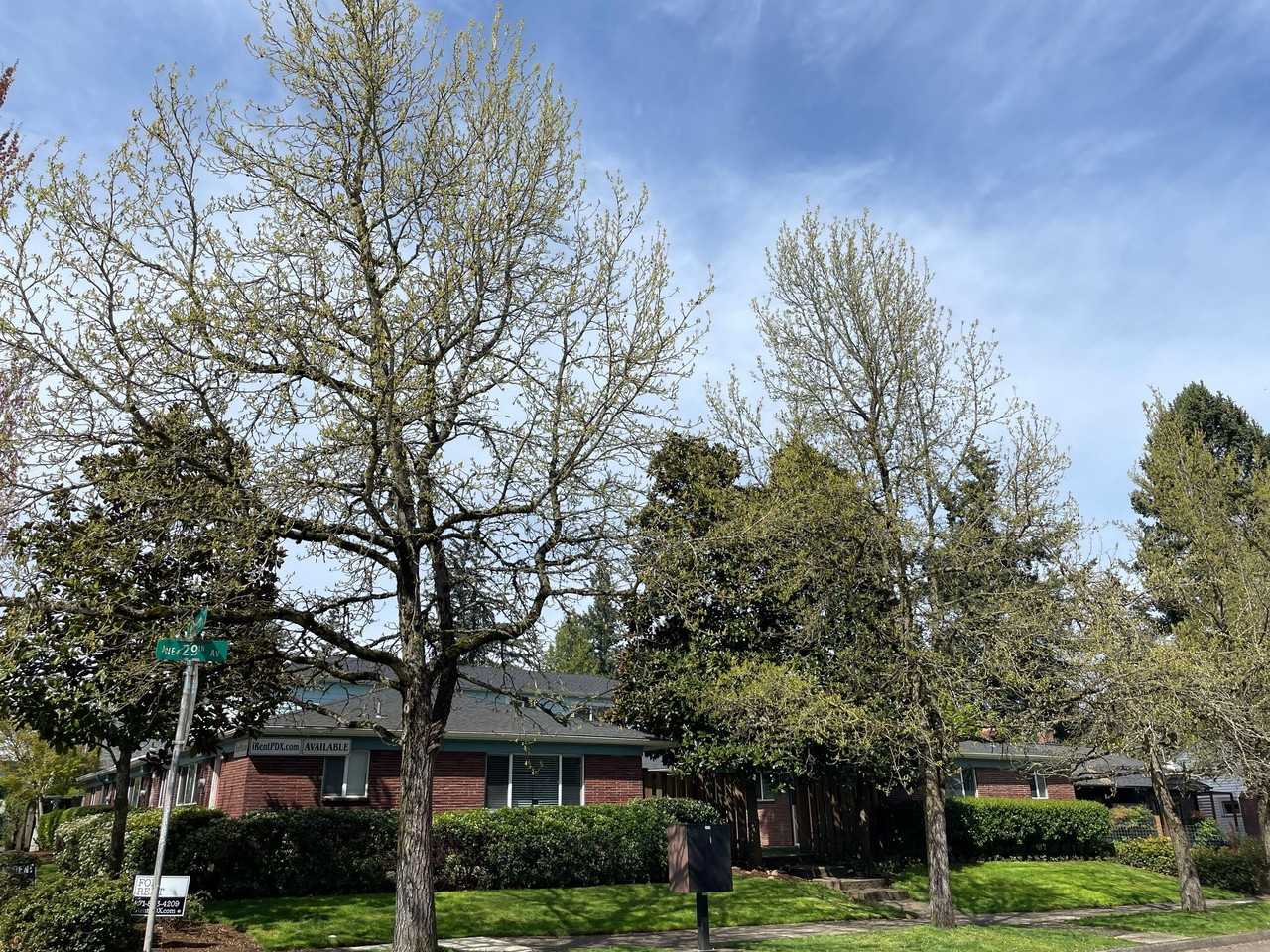 5511 Ne 29th Ave - Photo 5 of 27