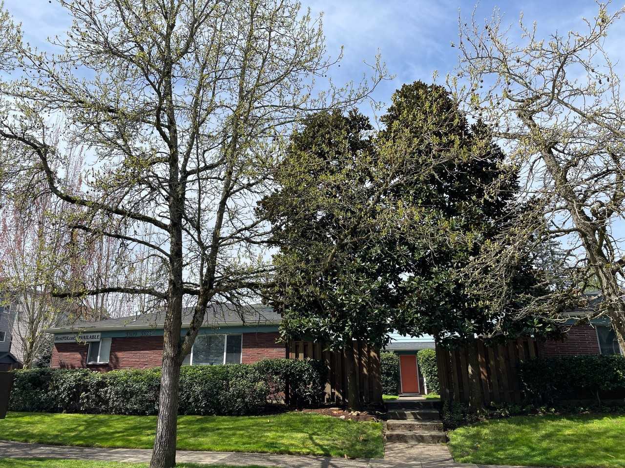 5511 Ne 29th Ave - Photo 6 of 27