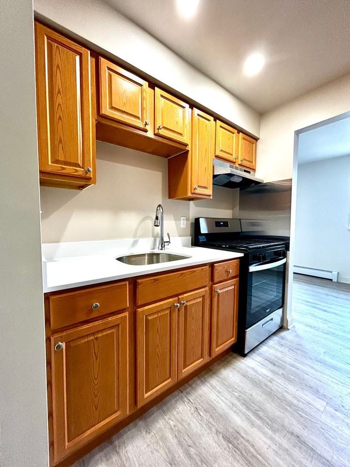 Norwegian Manor - Photo 2 of 13