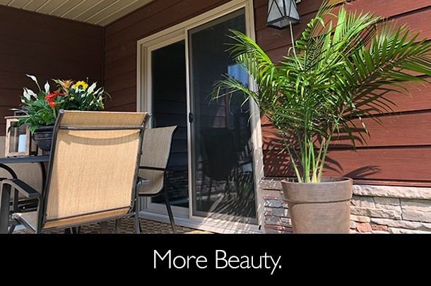 Avington on North Elm - Photo 3 of 27