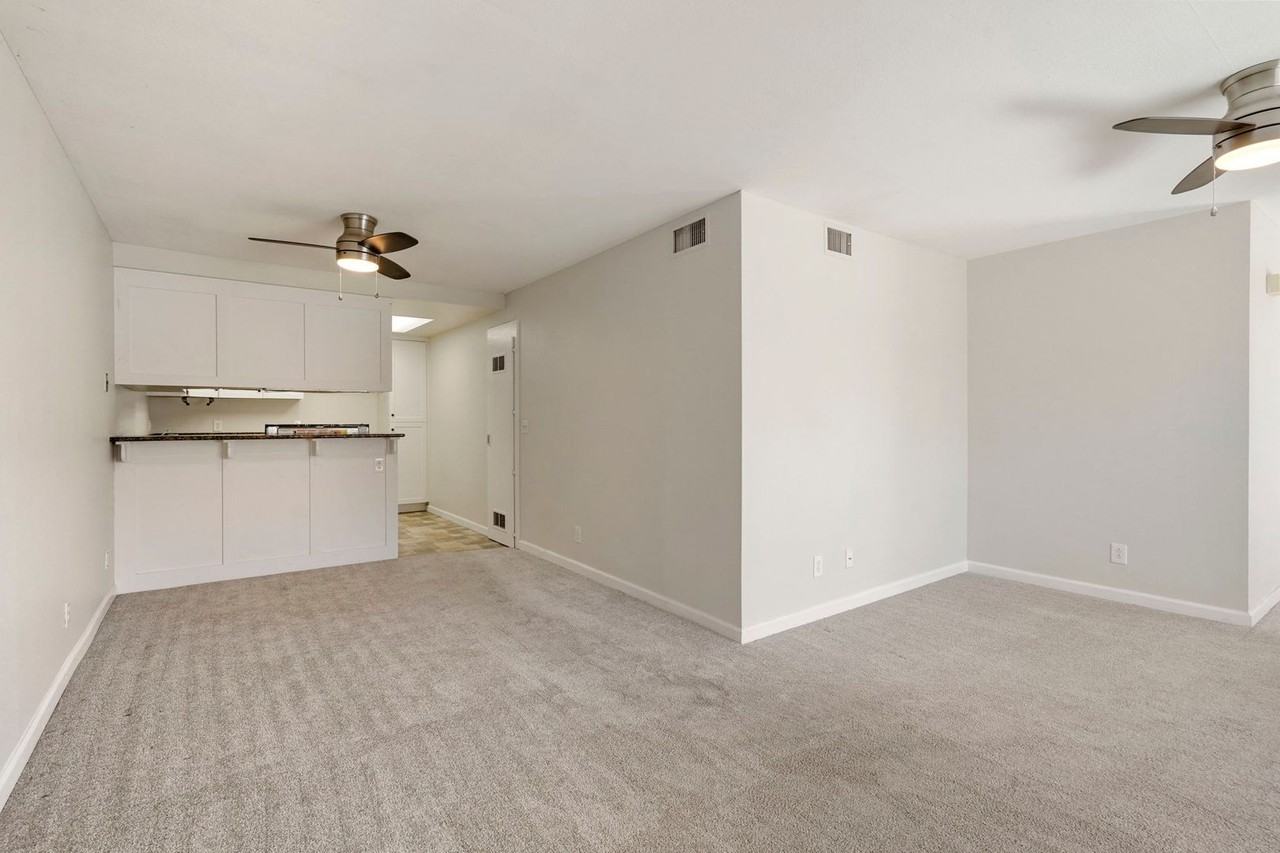 9829 Caspi Gardens Dr - Photo 5 of 16