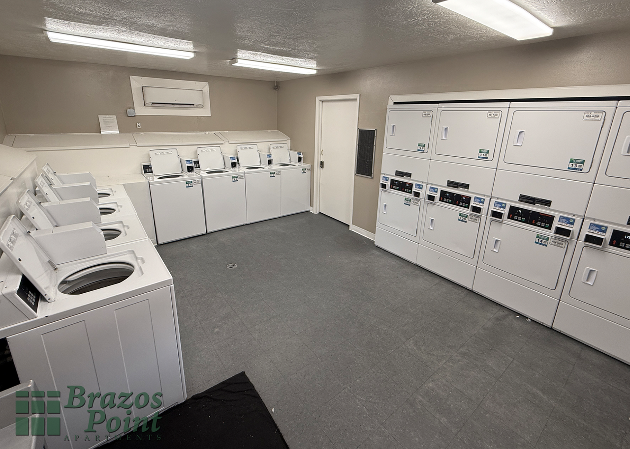 Brazos Point Apartments - Photo 2 of 10