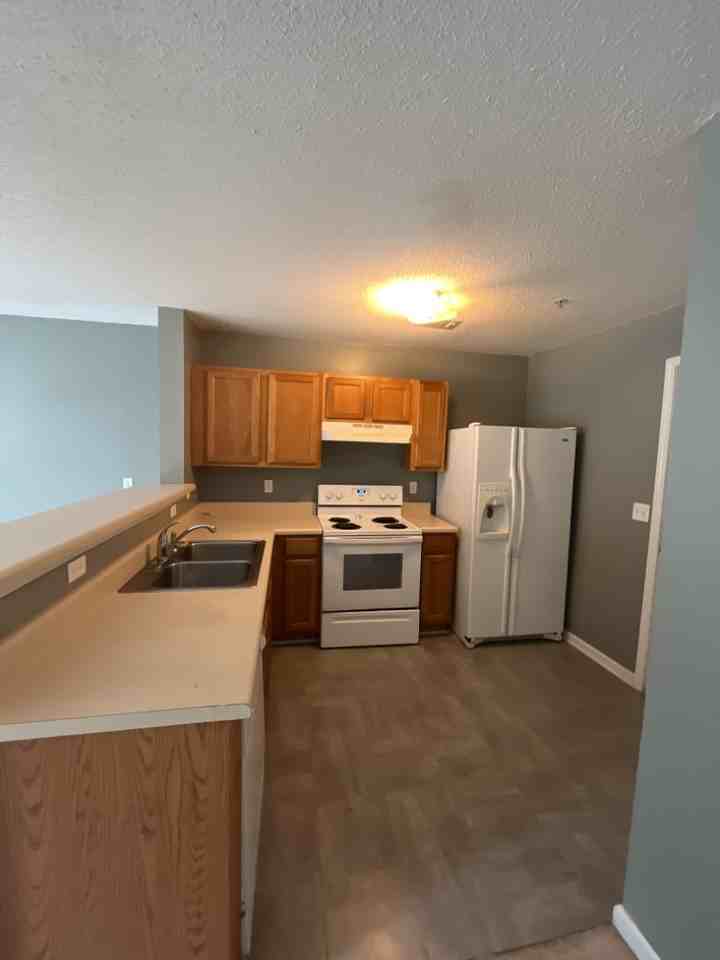 234 Swaying Pine Ct - Photo 2 of 13