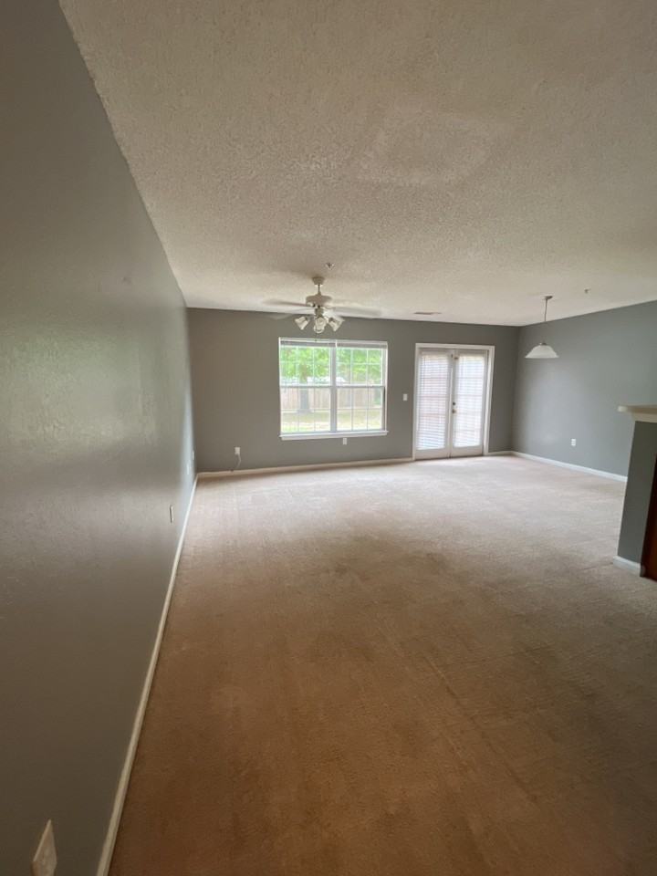 234 Swaying Pine Ct - Photo 3 of 13