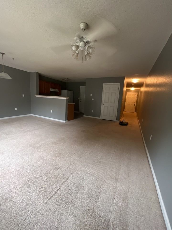 234 Swaying Pine Ct - Photo 4 of 13