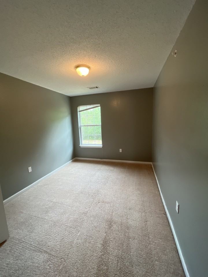 234 Swaying Pine Ct - Photo 6 of 13