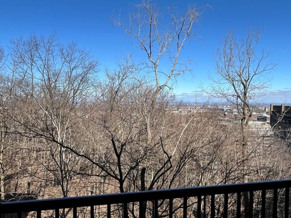 3665 Avenue Ridgewood - Photo 6 of 13