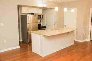featured image of 459 Locust Ave