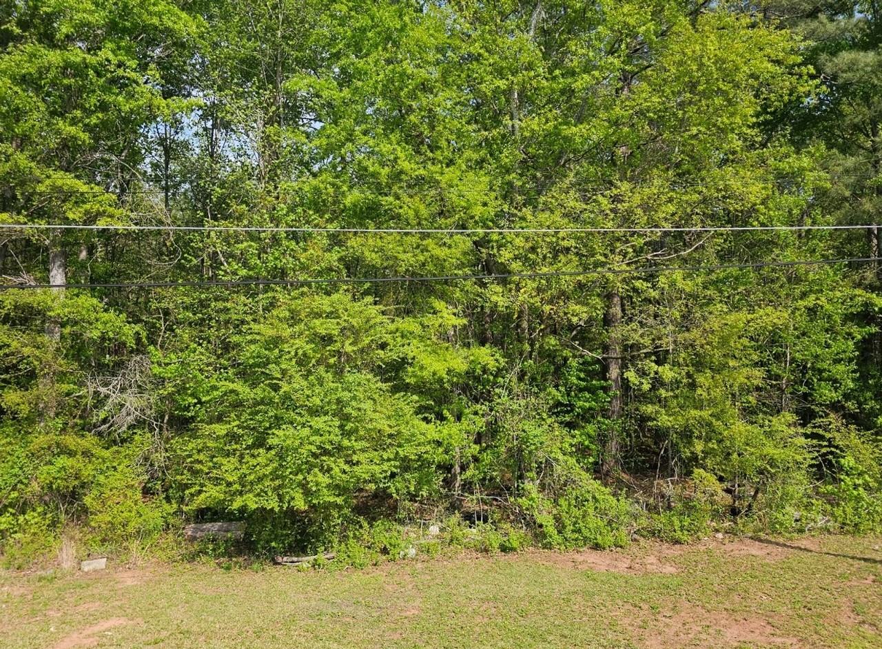 163 Kathryn Rd - Photo 6 of 32