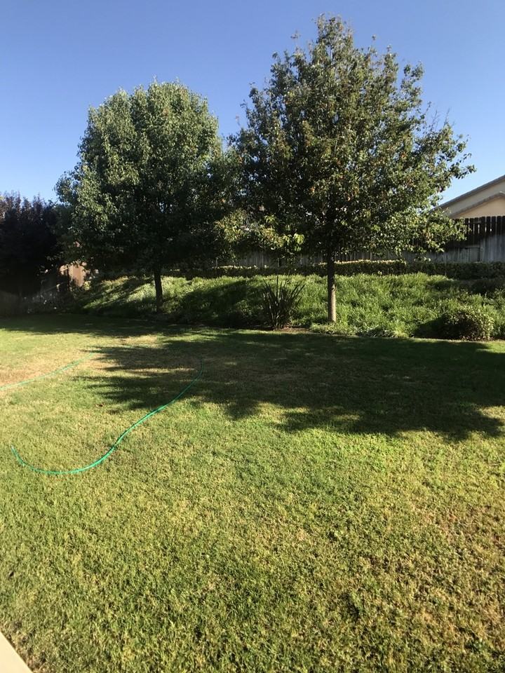 12318 Rambler Ave - Photo 3 of 24