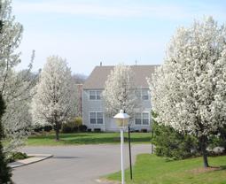 Lake View - Photo 1 of 1