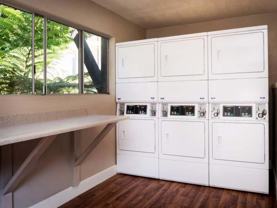 8515 Chloe Avenue - Photo 1 of 1