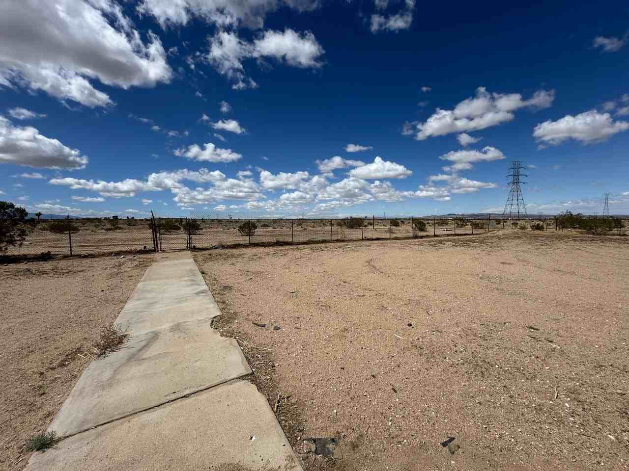 14755 Calendula - Photo 5 of 42